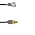Q-2O030000D2.5M