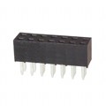25641401RP2